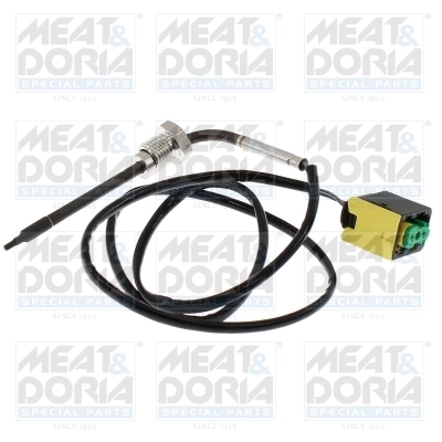 Sensor, exhaust gas temperature